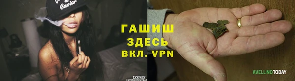 прущие грибы Алексеевка