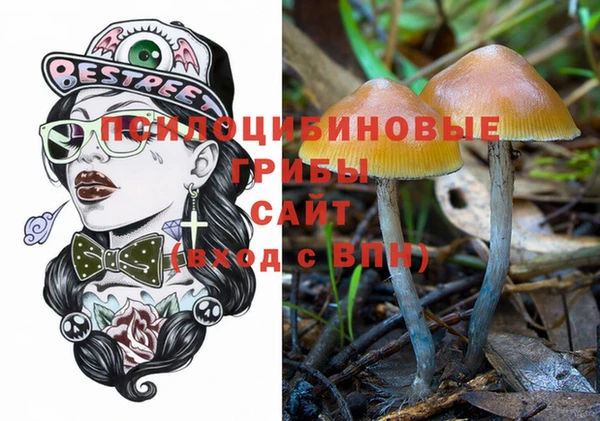прущие грибы Алексеевка