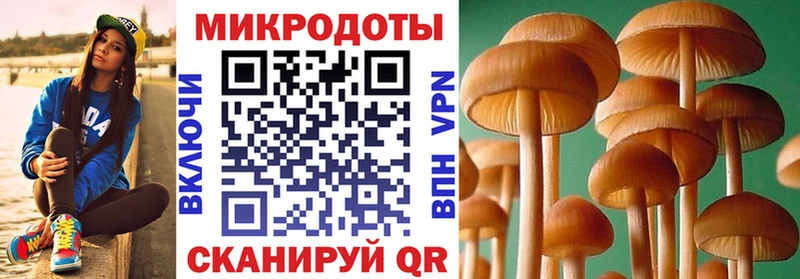 Псилоцибиновые грибы MAGIC MUSHROOMS  blacksprut как зайти  Георгиевск 
